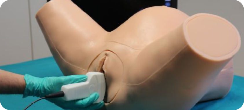 simulatore ecografia intrapartum su manichino