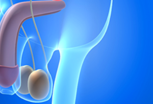Urologia
