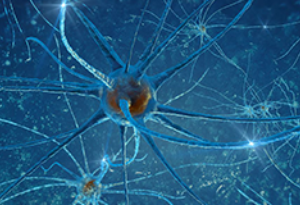 Neurologia
