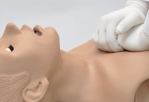 Basic Life Support