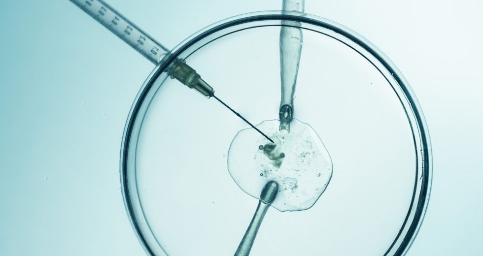 Il Futuro della PMA: Simulazione Avanzata nella Medicina Riproduttiva