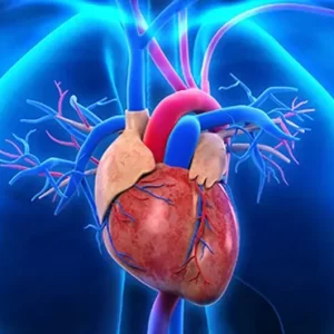 Trattamento degli Storm Aritmici Ventricolari in Terapia Intensiva e Pronto Soccorso
